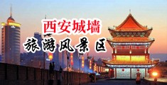 日屄日逼视频网站中国陕西-西安城墙旅游风景区